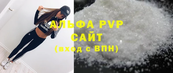 индика Нефтекумск