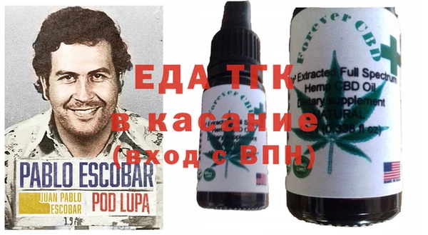 индика Нефтекумск