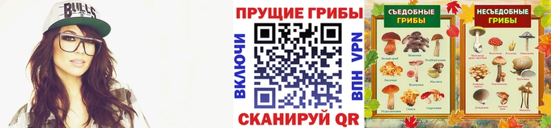 Галлюциногенные грибы мухоморы  купить  цена  Моршанск 